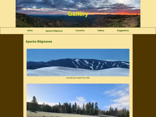 gallery screenshot