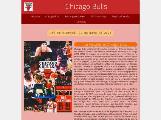 Chicago Bulls screenshot