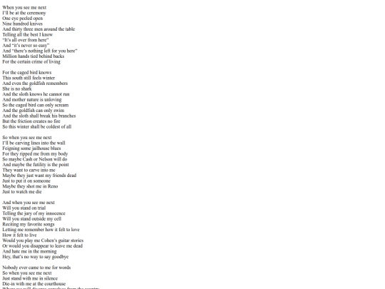 writings/whenyouseemenext screenshot