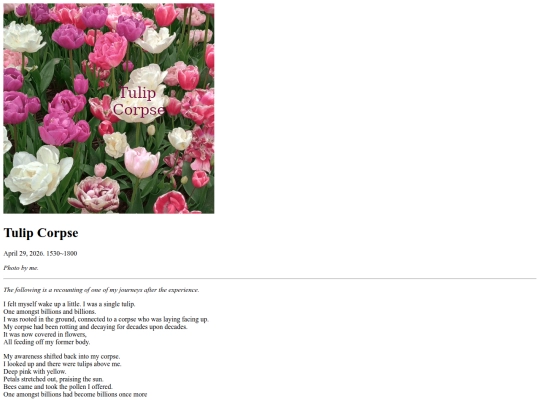Webpages/journal_entries/psychedelic_journal/20260429/20260429_Tulip_Corpse screenshot
