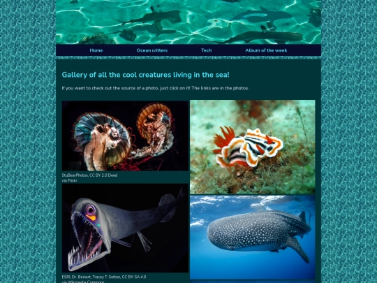 oceanlife screenshot