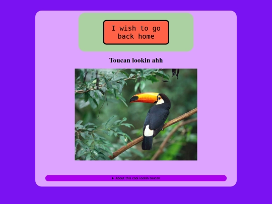 misc/toucan screenshot