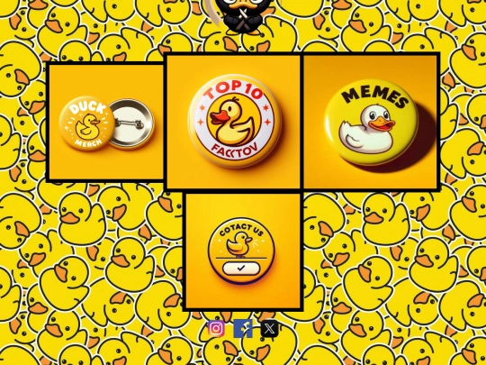 hlavnastranka screenshot