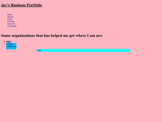 Portfolio screenshot