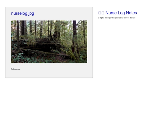 nurselog.jpg screenshot