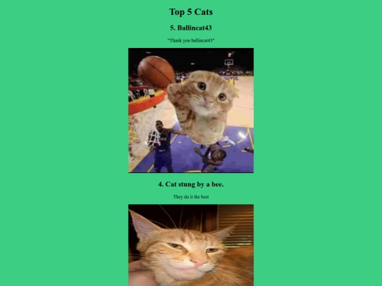 top5cats screenshot