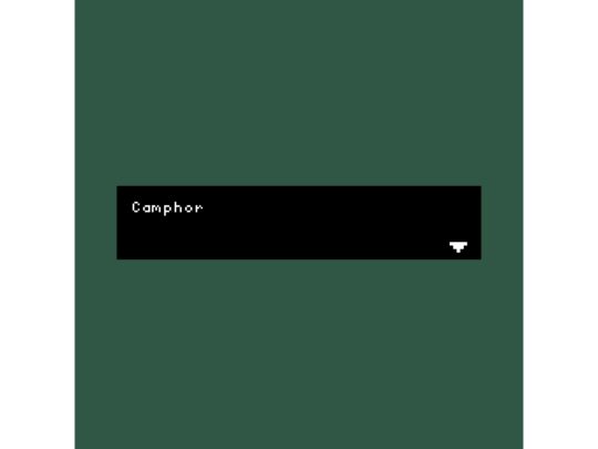 games/camphor screenshot