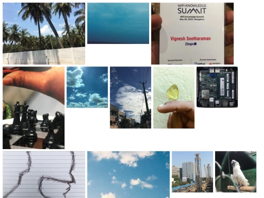 photopetti screenshot
