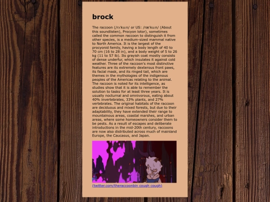 raccoon screenshot