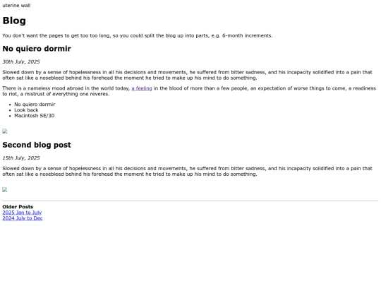 blog screenshot