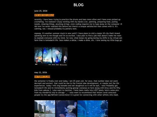 blog screenshot