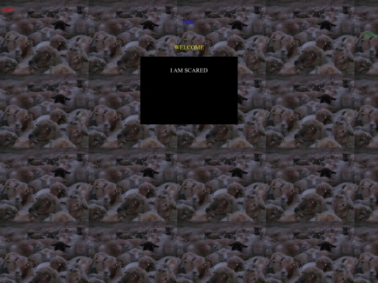 Sophiepoots screenshot
