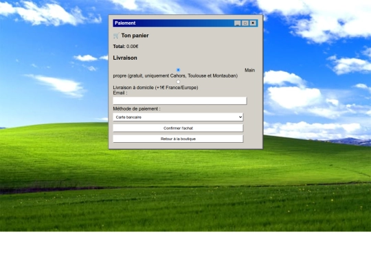 payment screenshot