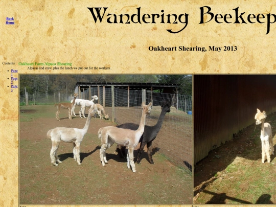 images/OakheartShearing20130509/oak001 screenshot