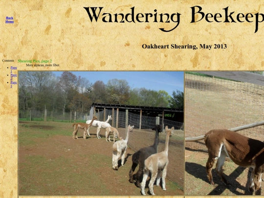 images/OakheartShearing20130509/oak002 screenshot