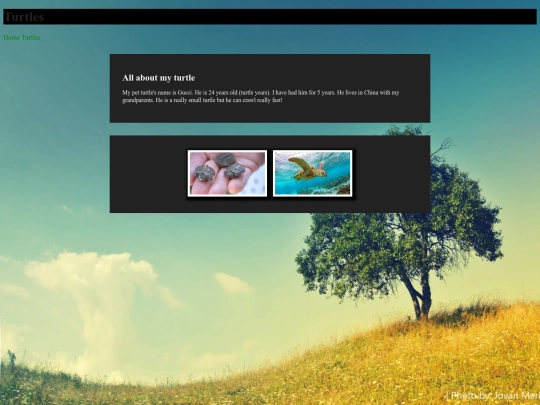 pictures screenshot