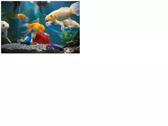 PUZZLE screenshot