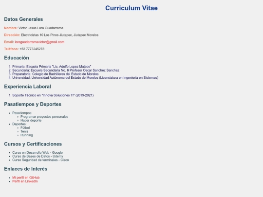 Curriculum Victor/CurriculumVitae screenshot