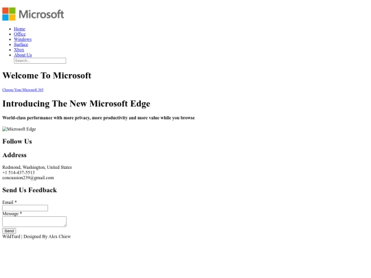 Microsoft screenshot