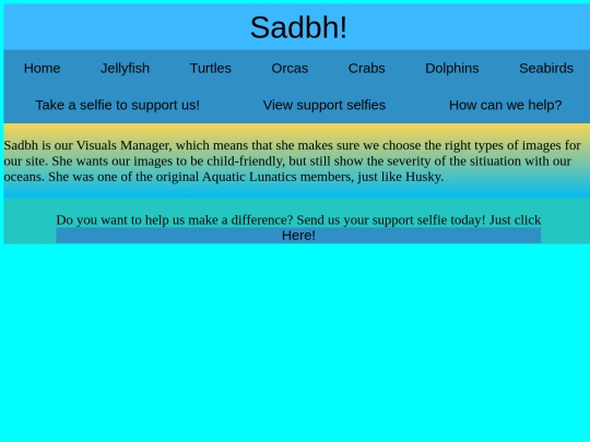 sadbh screenshot