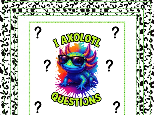 tourneypages/Billy/trivia/trivia screenshot