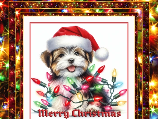 tourneypages/chelechristmas1 screenshot