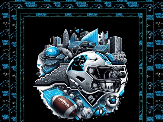 tourneypages/panthers screenshot