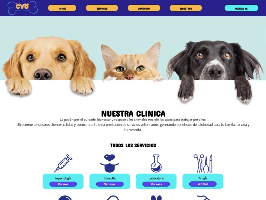 servicios screenshot