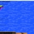 boondogggle's cult avatar