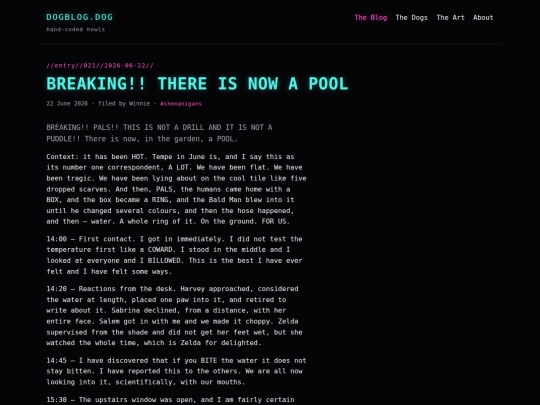 blog/2026-june/the-pool screenshot