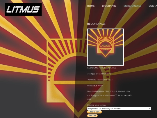 Litmus_Website/services screenshot