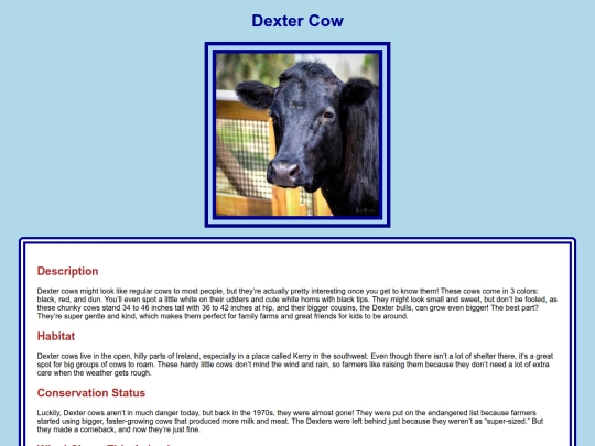 web_design/2.CSS/Zoo_Project/dexterCow screenshot