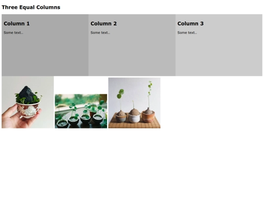 columns screenshot
