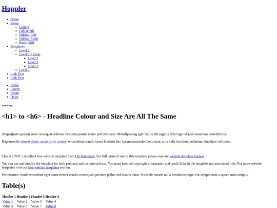 demo/full-width screenshot
