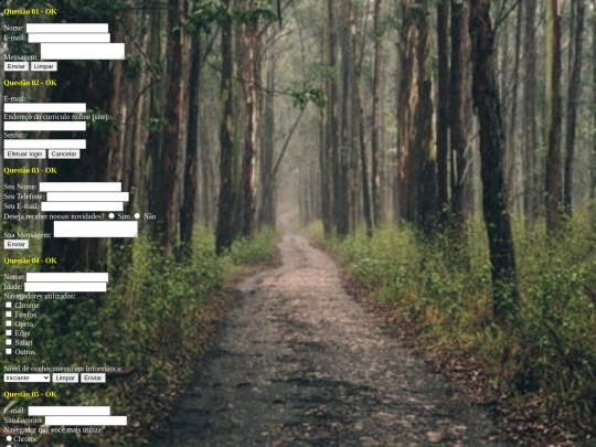 exercicios/htmlexerciciosformularios screenshot