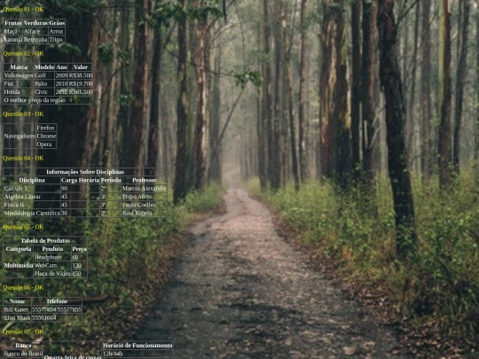 exercicios/htmlexerciciostabelas screenshot
