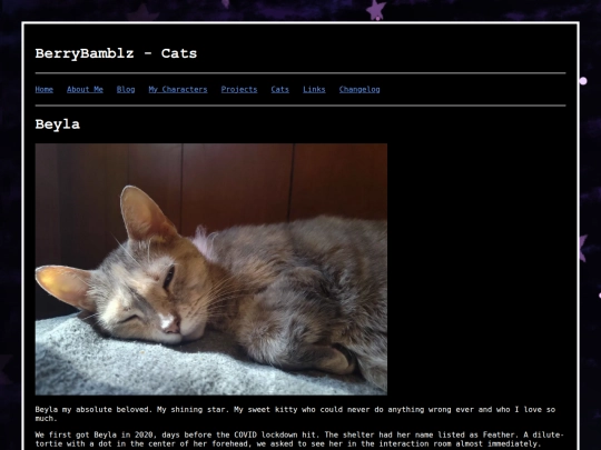 cats_beyla screenshot
