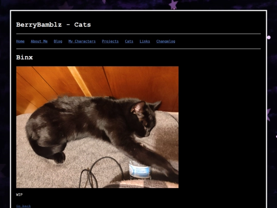 cats_binx screenshot