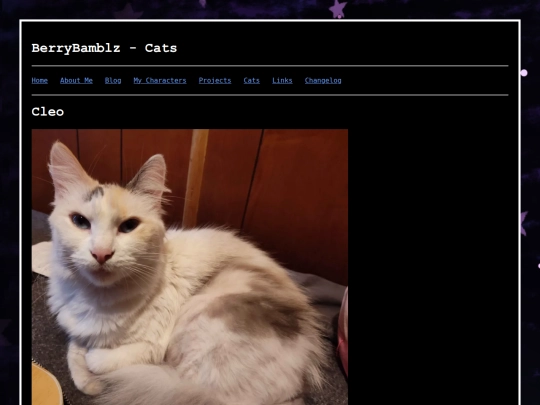 cats_cleo screenshot