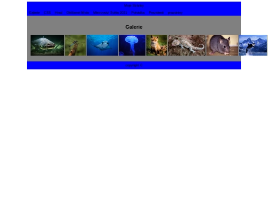 Galerie/galerie screenshot