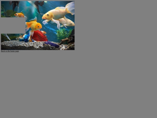 puzzle1 screenshot