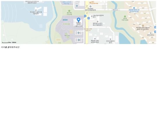 daum_map screenshot