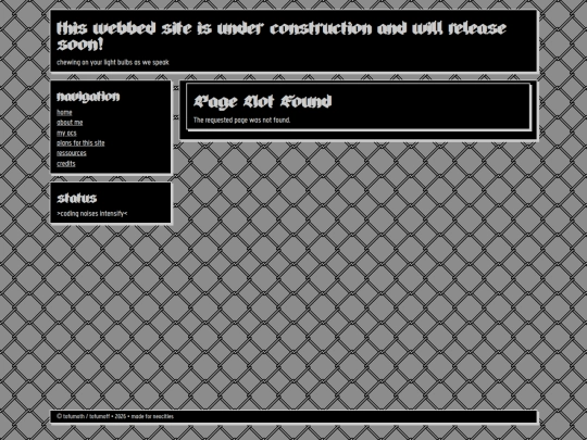 404 screenshot