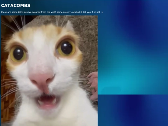 CAT-acomb screenshot