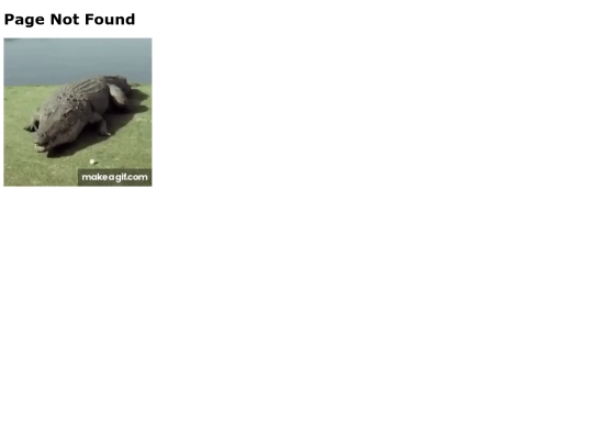 not_found screenshot