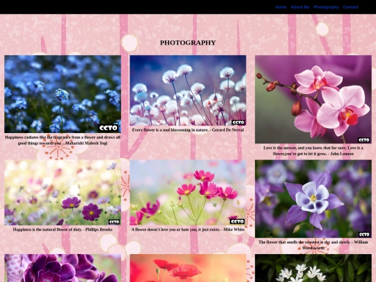 photography screenshot