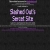 slashedout.neocities.org avatar
