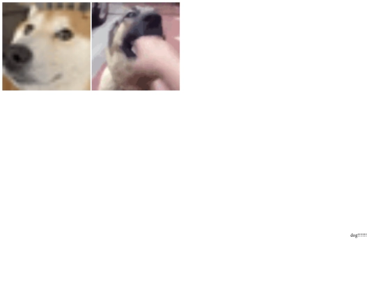 dog screenshot