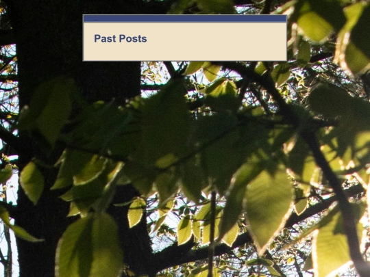 archive screenshot
