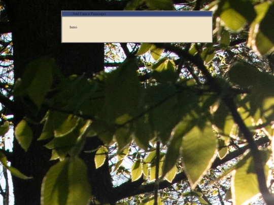 posts/2025-06-28-Introduction screenshot